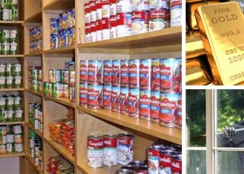 10+ Steps to Take Now for the Upcoming Economic Collapse - Cover1