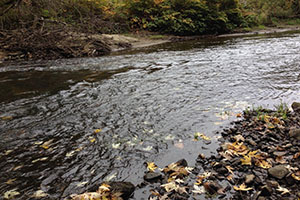 What is the Best Way to Store Water For SHTF?