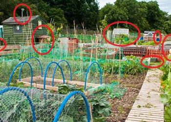 50 Homesteading Hacks You Should Know