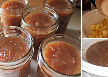 How To Make Apple Butter With 2 Years Shelf-Life