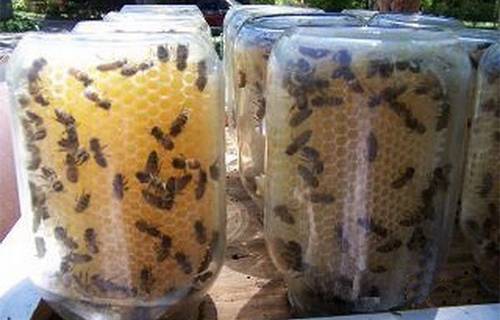 50 Homesteading Hacks You Should Know
