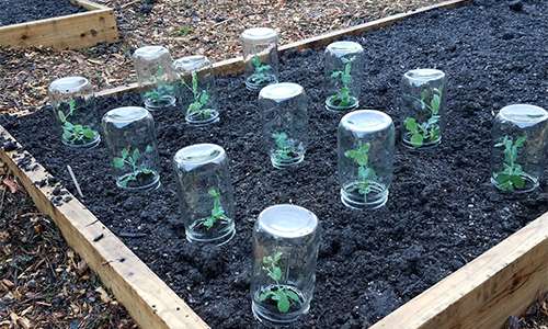 50 Homesteading Hacks You Should Know