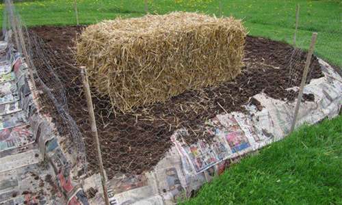 50 Homesteading Hacks You Should Know