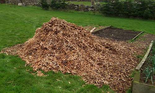 50 Homesteading Hacks You Should Know