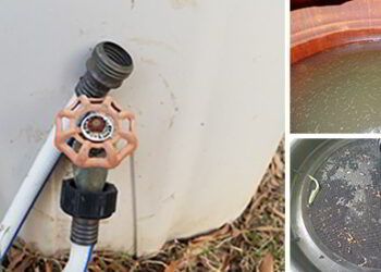 7 Mistakes To Avoid When Harvesting Rain Water