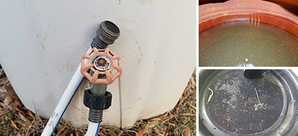 7 Mistakes To Avoid When Harvesting Rain Water
