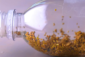 13 Genius Seedling Hacks That You’ll Be Glad to Know