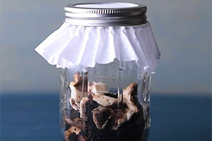 13 Genius Seedling Hacks That You’ll Be Glad to Know