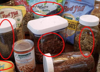 This Is Why You Need A 6-Pound Emergency Food Bag