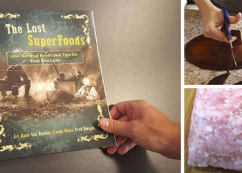 The Lost Superfoods: Book Review