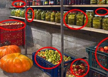 11 Foods That Should Never Be Kept Next to Each Other