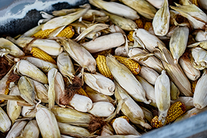 11 Foods That Should Never Be Kept Next to Each Other