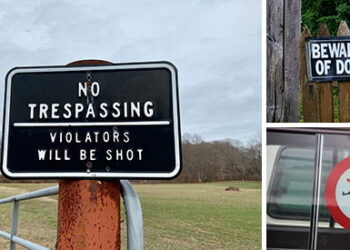 Avoid These 5 Signs on Your Property