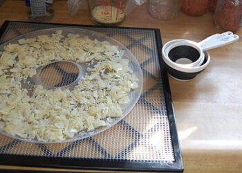 How To Dehydrate Milk for Long Term Storage