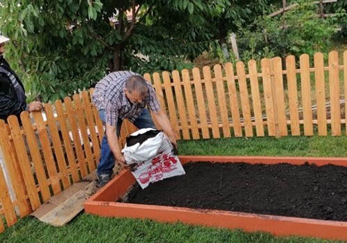 A Medicinal Garden Kit For Starting A Small Backyard Pharmacy