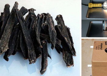 The 10-Dollar Jerky Maker