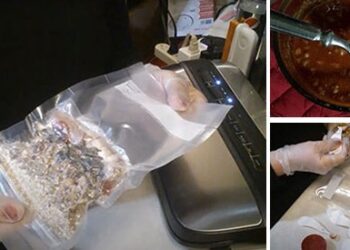 Meal in a Bag: Chili With Beef and Beans