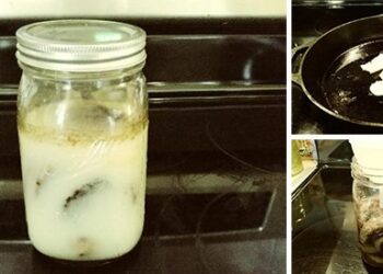 What Happens If You Put Meat In Lard?