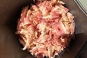 25 Little Known Survival Uses for Tree Bark