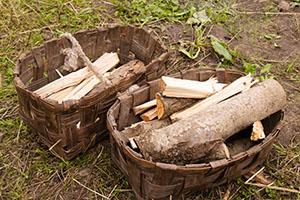 25 Little Known Survival Uses for Tree Bark