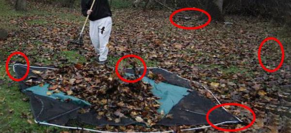 6 Practical Uses for Autumn-Falling Leaves