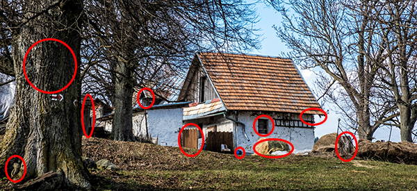 Farm Murders What You Need To Know If You Live On A Homestead