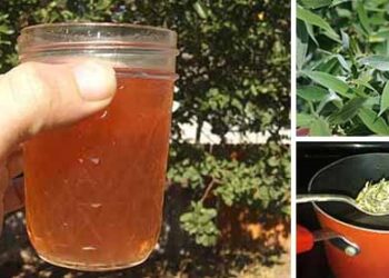 How to Make Aspirin from Willow Bark