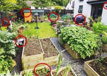 8 Small Survival Projects You Are Missing On Your Property