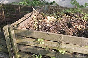 8 Small Survival Projects You Are Missing On Your Property