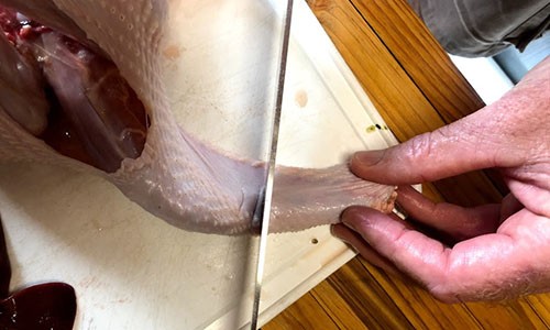 Butchering Turkey 