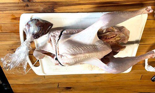 Butchering Turkey 