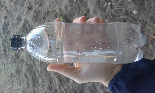 How To Make Your Own Salt For SHTF 