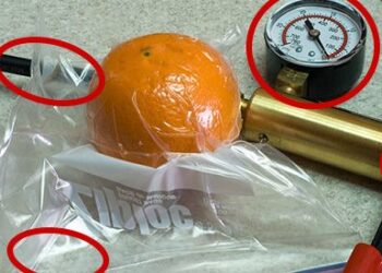 How To Seal Food Without A Vacuum Sealer
