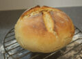 No-Knead Sourdough Bread