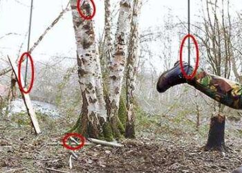 Ingenious Traps You Can Set Up On Your Property To Catch Looters