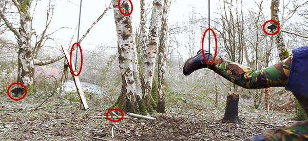 Ingenious Traps You Can Set Up On Your Property To Catch Looters
