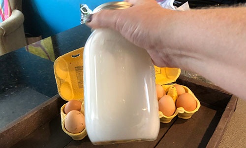 How To Preserve Eggs With Lime Water