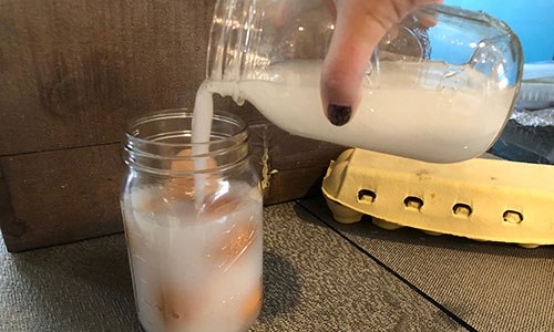 How To Preserve Eggs With Lime Water