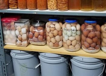 How To Preserve Eggs With Lime Water