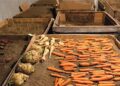 How To Preserve Your Vegetables Using Sand