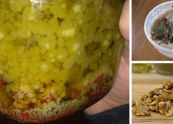 What Happens If You Eat Rancid Food