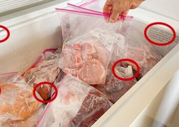 20 Mistakes You Are Making When Freezing Meat