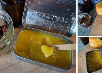 DIY Natural Pain Relief Salve