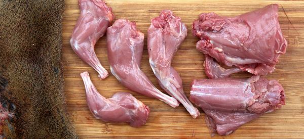How to Prepare and Field Dress Wild Game