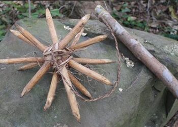 The Best Natural Weapons That You Can Find In The Wild