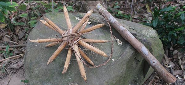 The Best Natural Weapons That You Can Find In The Wild