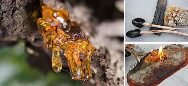 25+ Survival Uses Of Resinv