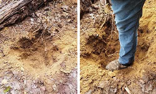 DIY Punji Stick Traps To Defend Your Home