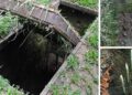DIY Punji Stick Traps To Defend Your Home
