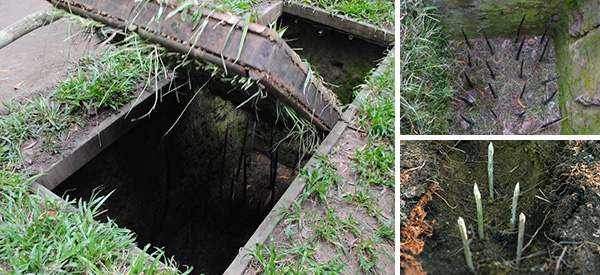 DIY Punji Stick Traps To Defend Your Home